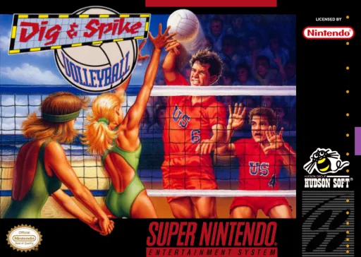 Dig & Spike Volleyball (USA)